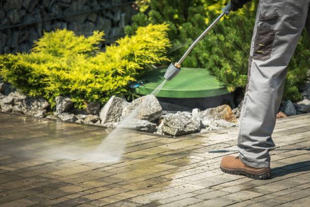 Best Boat and Dock Cleaning  in West Long Branch, NJ