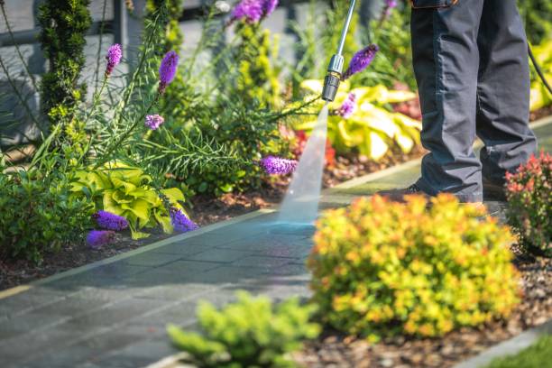 Best Fence Cleaning  in West Long Branch, NJ