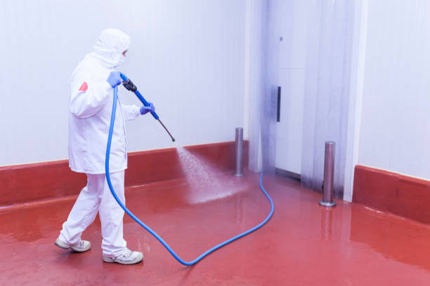 Best Paint Preparation  in West Long Branch, NJ